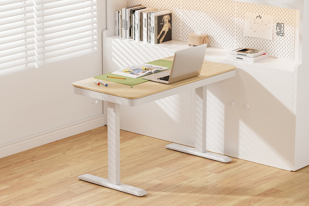 Ergolux Sorrento Electric Standing Desk with Wireless Charging 120 x 60cm (Ash/White)
