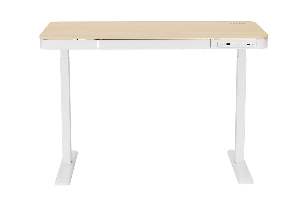 Ergolux Sorrento Electric Standing Desk with Wireless Charging 120 x 60cm (Ash/White)
