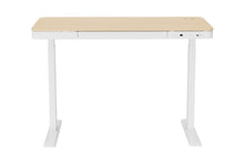 Load image into Gallery viewer, Ergolux Sorrento Electric Standing Desk with Wireless Charging 120 x 60cm (Ash/White)