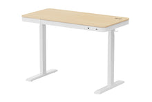 Load image into Gallery viewer, Ergolux Sorrento Electric Standing Desk with Wireless Charging 120 x 60cm (Ash/White)