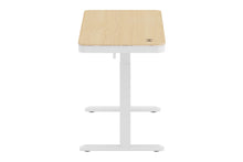 Load image into Gallery viewer, Ergolux Sorrento Electric Standing Desk with Wireless Charging 120 x 60cm (Ash/White)