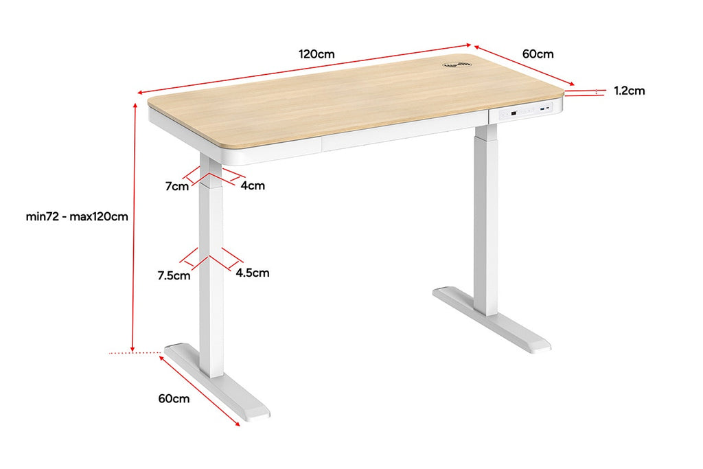 Ergolux Sorrento Electric Standing Desk with Wireless Charging 120 x 60cm (Ash/White)