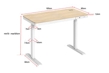 Load image into Gallery viewer, Ergolux Sorrento Electric Standing Desk with Wireless Charging 120 x 60cm (Ash/White)