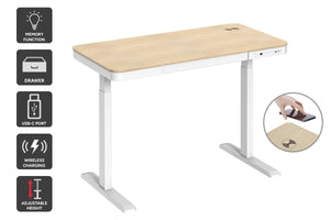 Ergolux Sorrento Electric Standing Desk with Wireless Charging 120 x 60cm (Ash/White)